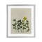 Stupell Industries Hidden Gems Botanicals Framed Print Under Glass, design by Grace Popp